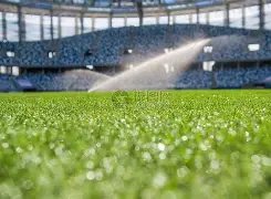 莱比锡主场,火力全开,激战拜仁一,Pg电子,PG,game,Pg电子官网,Pg电子试玩模拟器官网,Pg电子试玩模拟器下载,Pg电子APP